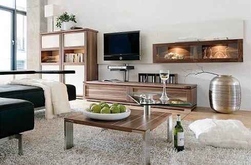  Living Room Furniture 