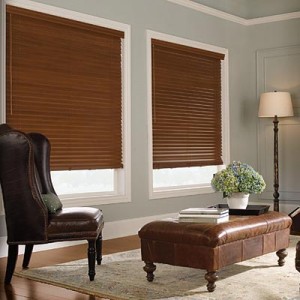 shades and blinds photo