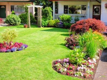landscaping ideas for backyard pictures