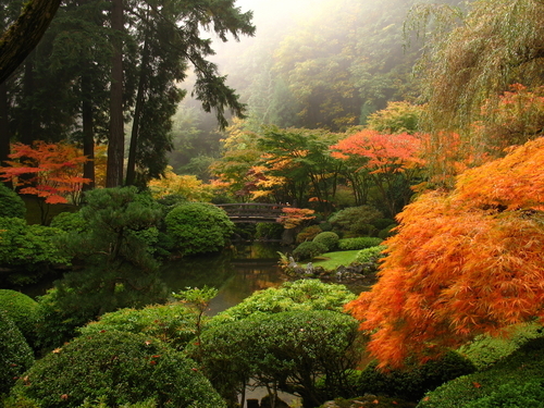 Japanese garden in Portland